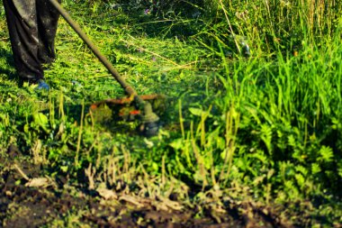 arsa üzerinde çim biçme