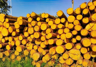 export of logs from the forest clipart