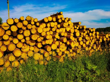export of logs from the forest clipart