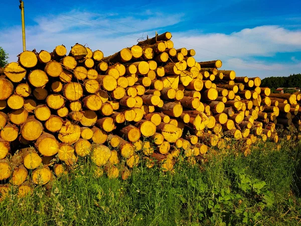 export of logs from the forest