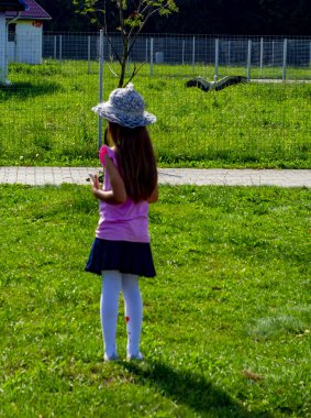 çocuk 6-7 yaşında parkta oynuyor