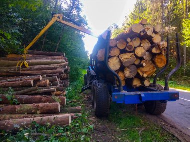 ormandaki bir römorküzerinde günlükleri yükleme