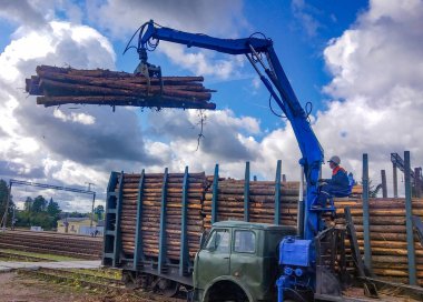 Belarus'ta Minsk bölgesinde bir demiryolu geçişinde bir orman ile dolu bir kamyondan bir vagon içine günlükleri yükleme 17 09 2019