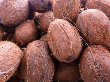 Hindistan cevizi yığını bir sepet içinde birlikte yığılmış