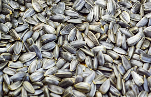 Bunch Roasted Sunflower Seeds Composition Sunflower Seeds Serving Cooking Oil — Stock Photo, Image