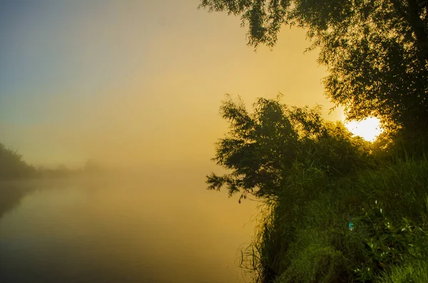 Neblige Morgendämmerung Frühen Morgen Über Dem Fluss — Stockfoto