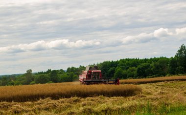 20 Temmuz 2020 'de Minsk bölgesindeki Belarus' taki tahıl tarlalarında çalışan bir biçerdöver.