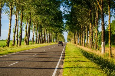 Araba huş ağacından geçerek yol boyunca gider.