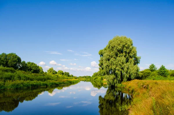 landscape of a river with steep banks and overhanging weeping willows