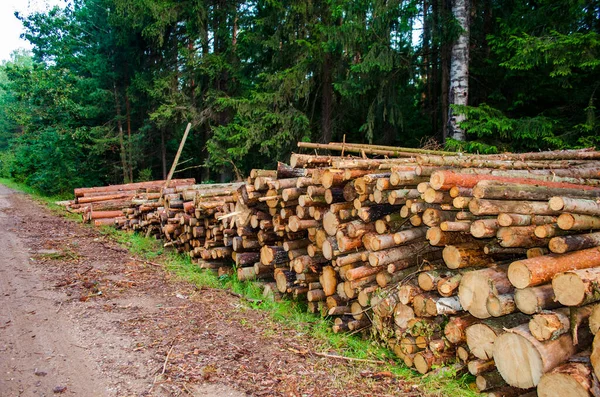 Logs are stacked in large piles near the forest — Stock Image Logs Stacked Large Piles Forest Royalty Free Stock Photos
