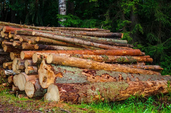 Logs are stacked in large piles near the forest — Stock Image Logs Stacked Large Piles Forest Royalty Free Stock Images