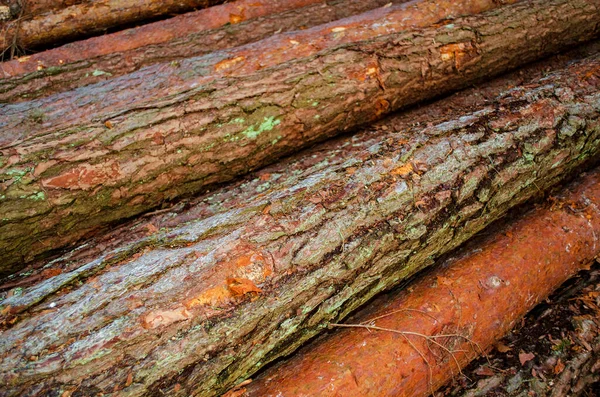 Background of logs stacked in large piles near the forest — Stock Image Background Logs Stacked Large Piles Forest Stock Image