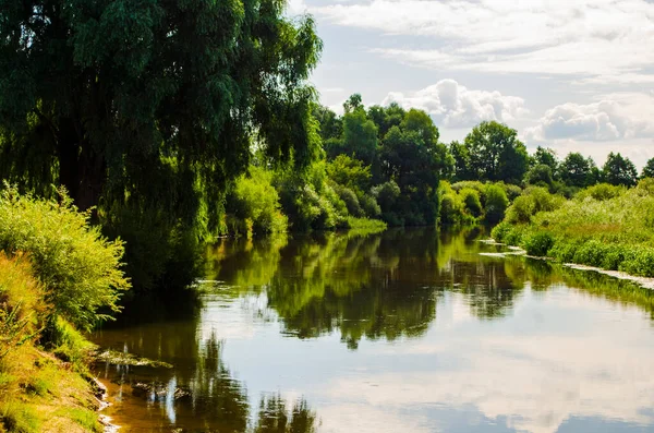 Pemandangan Sungai Dengan Tepian Curam Dan Tangisan Pohon Willow Stok Gambar