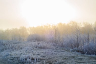 Sisli bir tarlada ilk kar, gökyüzünde değil, ama sis ve kuşlar.