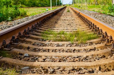 Demiryolu manzarası, raylar ve ormanlar boyunca otlaklar.