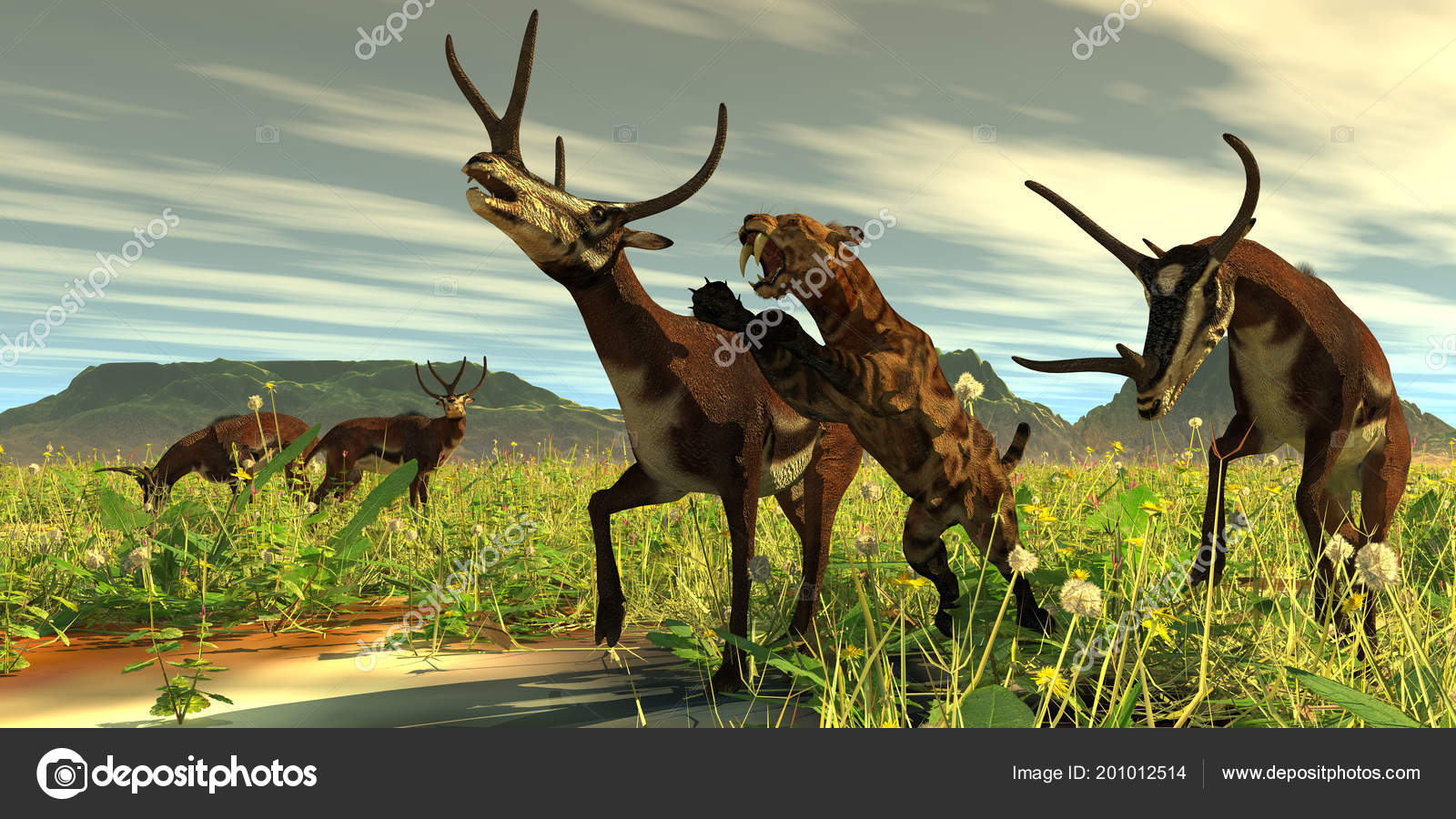 Saber Toothed Cat Comes Out High Vegetation Attack Kyptoceras