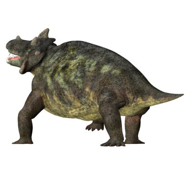 Estemmenosuchus mirabilis, Permiyen dönem Rusya'da yaşamış bir omnivordur therapsid dinozordu.