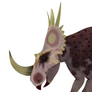 Kretase döneminde Kuzey Amerika'da yaşayan otçul bir Ceratopsian dinozor Rubeosaurus yapıldı.