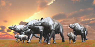 Paraceratherium Avrasya'İozin döneminde yaşamış bir Indricotherium ot obur yapıldı..