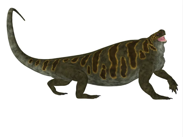 Cotylorhynchus Fue Reptil Herbívoro Sinápsido Que Vivió América Del Norte — Foto de Stock