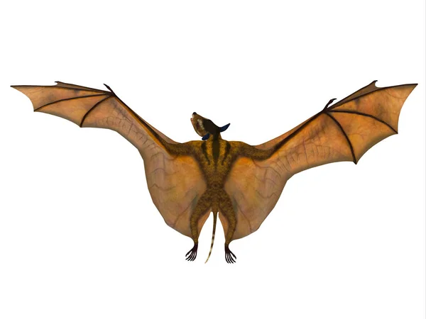 Icaronycteris 指数是第一个已知的蝙蝠科学和生活在北美的始新世时期 — 图库照片