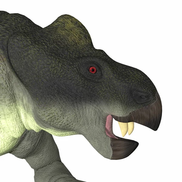 Kannemeyeria 시절에 살았던된 Dicynodont 공화국 아르헨티나 중국에서 Triassic — 스톡 사진