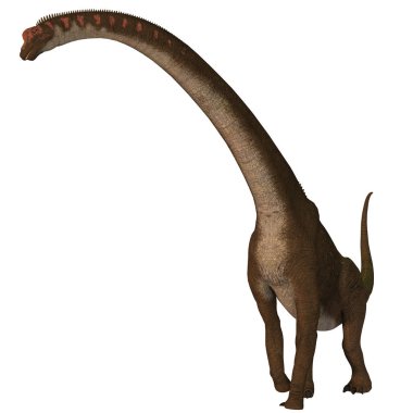 Giraffatitan, Afrika'da Jura döneminde yaşamış bir otçul Dashanpu'daki dinozordu.