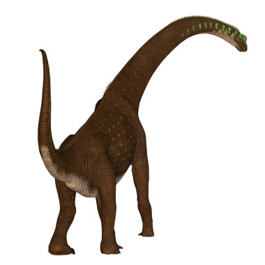 Giraffatitan, Afrika'da Jura döneminde yaşamış bir otçul Dashanpu'daki dinozordu.