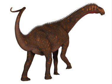 Mierasaurus, Kretase Dönemi boyunca Utah, ABD 'de yaşamış otobur bir Sauropod dinozorudur..