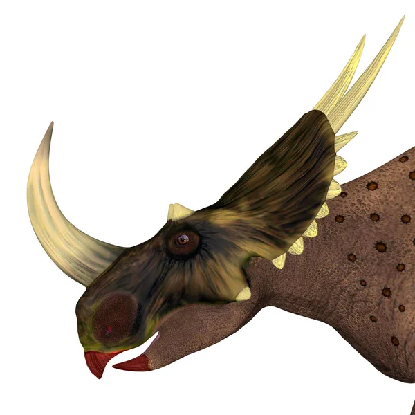 Rubeosaurus는 백악기 지역에 살았던 Ceratopsian — 스톡 사진