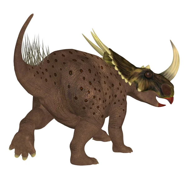 Rubeosaurus는 북아메리카의 백악기 Ceratopsian — 스톡 사진