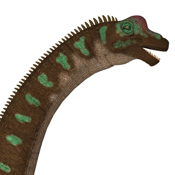 Giraffatitan War Ein Pflanzenfressender Sauropoden Dinosaurier Der Während Der Jurazeit — Stockfoto