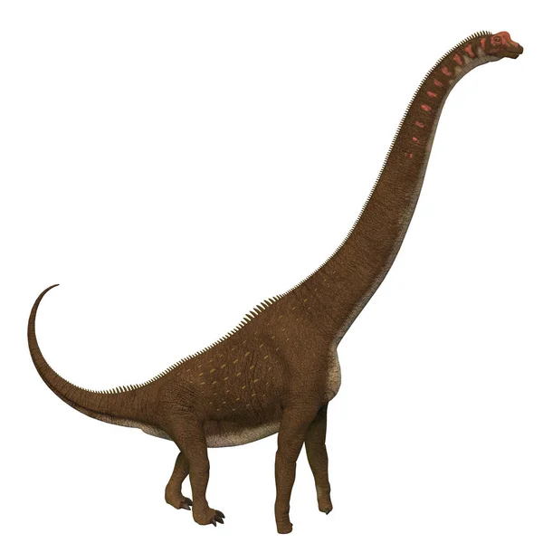 Giraffatitan 是在侏罗纪时期居住在非洲的草食蜥脚类恐龙 — 图库照片