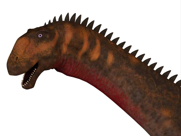 우루스 Mierasaurus 백악기 주에서 살았던 초식성 사우로 사우루스 공룡이다 — 스톡 사진