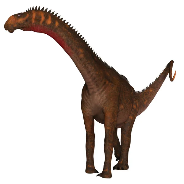 Mierasaurus Est Dinosaure Sauropode Herbivore Qui Vivait Dans Utah Aux — Photo