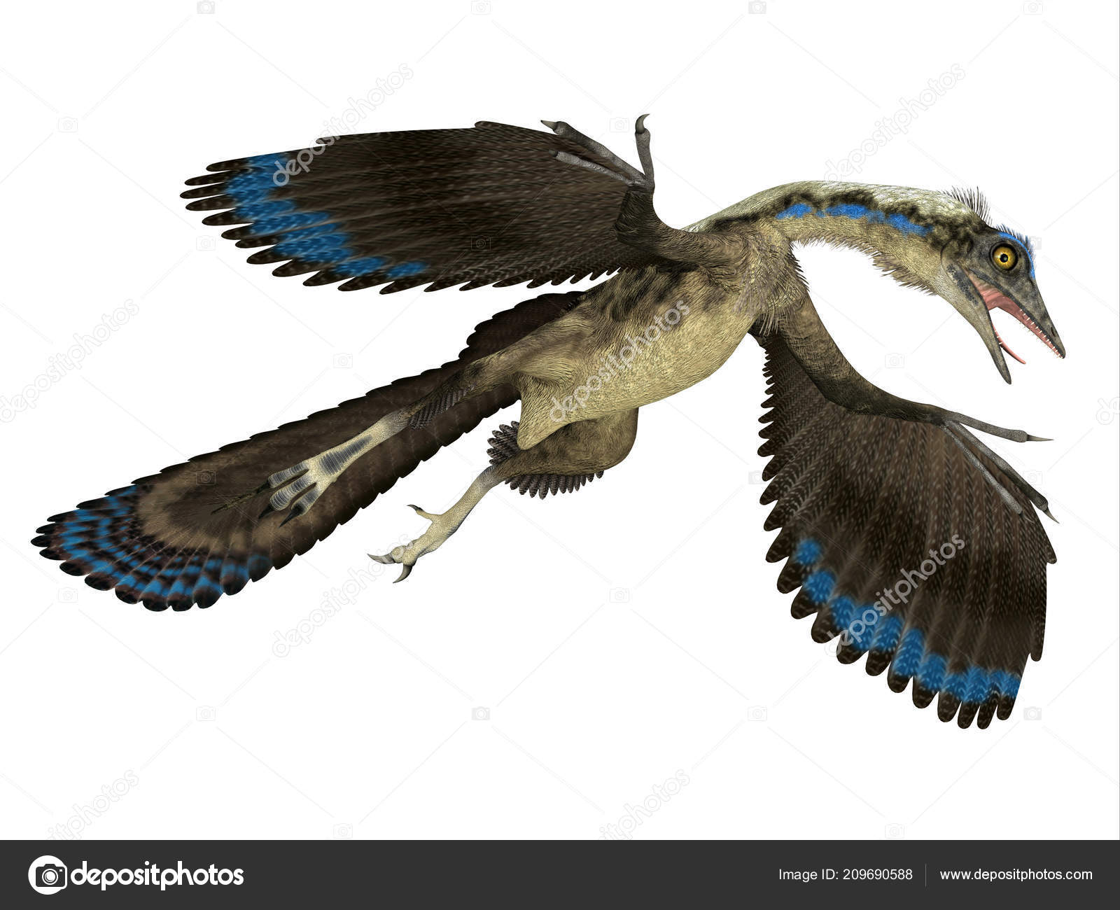 https://st4.depositphotos.com/2569431/20969/i/1600/depositphotos_209690588-stock-photo-archaeopteryx-carnivorous-pterosaur-reptile-lived.jpg
