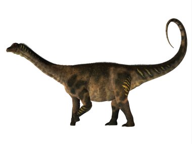 Antarctosaurus, Güney Amerika Kretase dönemi yaşamış bir otçul Dashanpu'daki dinozordu.