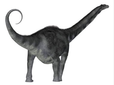 Argentinosaurus, Kretase döneminde Arjantin 'de yaşamış otobur bir Sauropod dinozoruydu..