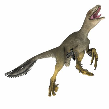 Dakotaraptor, Güney Dakota, Kuzey Amerika Kretase döneminde yaşamış bir etobur dromaeosaurid gelmektedir dinozordu.