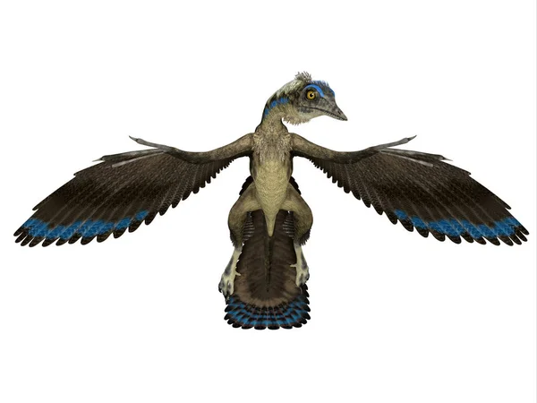 Archaeopteryx Fue Reptil Pterosaurio Carnívoro Que Vivió Alemania Durante Período — Foto de Stock