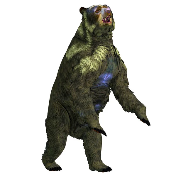 Arctodus 更新世の期間中には北アメリカに住んでいる雑食性の短い直面している熊がいた — ストック写真