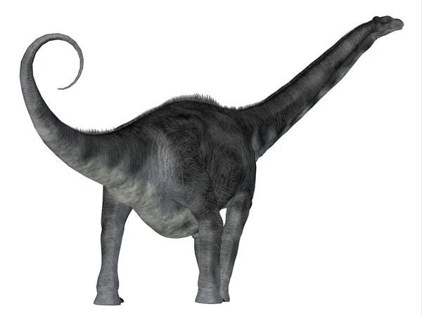 阿根廷龙 Argentinosaurus 是一种生活在阿根廷白垩纪的食草黑龙类恐龙 — 图库照片