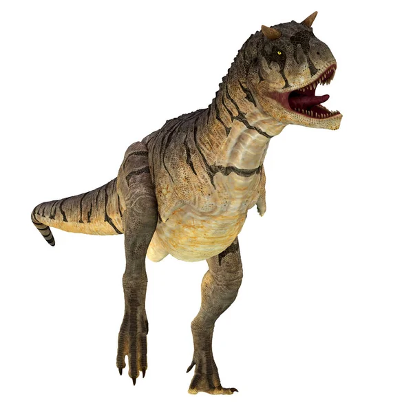 Carnotaurus Fue Dinosaurio Terópodo Carnívoro Que Vivió Patagonia Argentina Durante — Foto de Stock