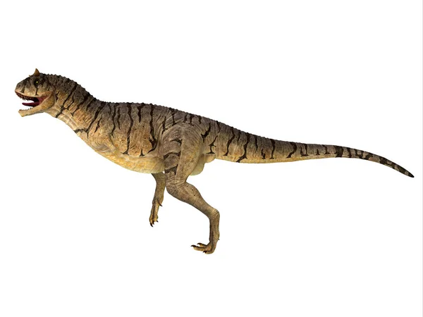 Carnotaurus Var Köttätande Dinosaurier Som Levde Patagonien Argentina Kritaperioden — Stockfoto