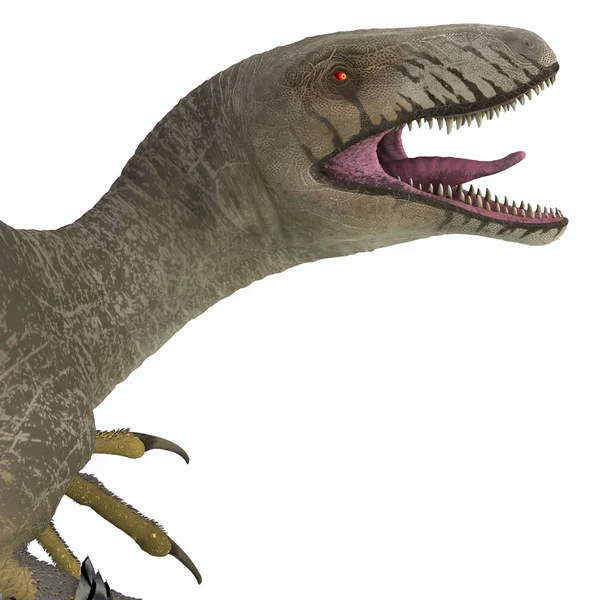 Dakotaraptor War Ein Fleischfressender Dromaeosaurier Der Während Der Kreidezeit Südamerika — Stockfoto