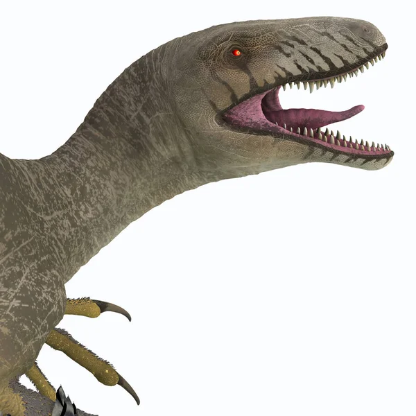 Dakotaraptor Een Vleesetende Theropode Theropode Dinosauriër Die South Dakota Noord — Stockfoto