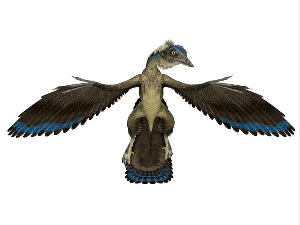 Dinosaurio volador fotos de stock, imágenes de Dinosaurio volador sin royalties | Depositphotos Dinosaurio volador fotos de stock, imágenes de Dinosaurio volador sin royalties | Depositphotos