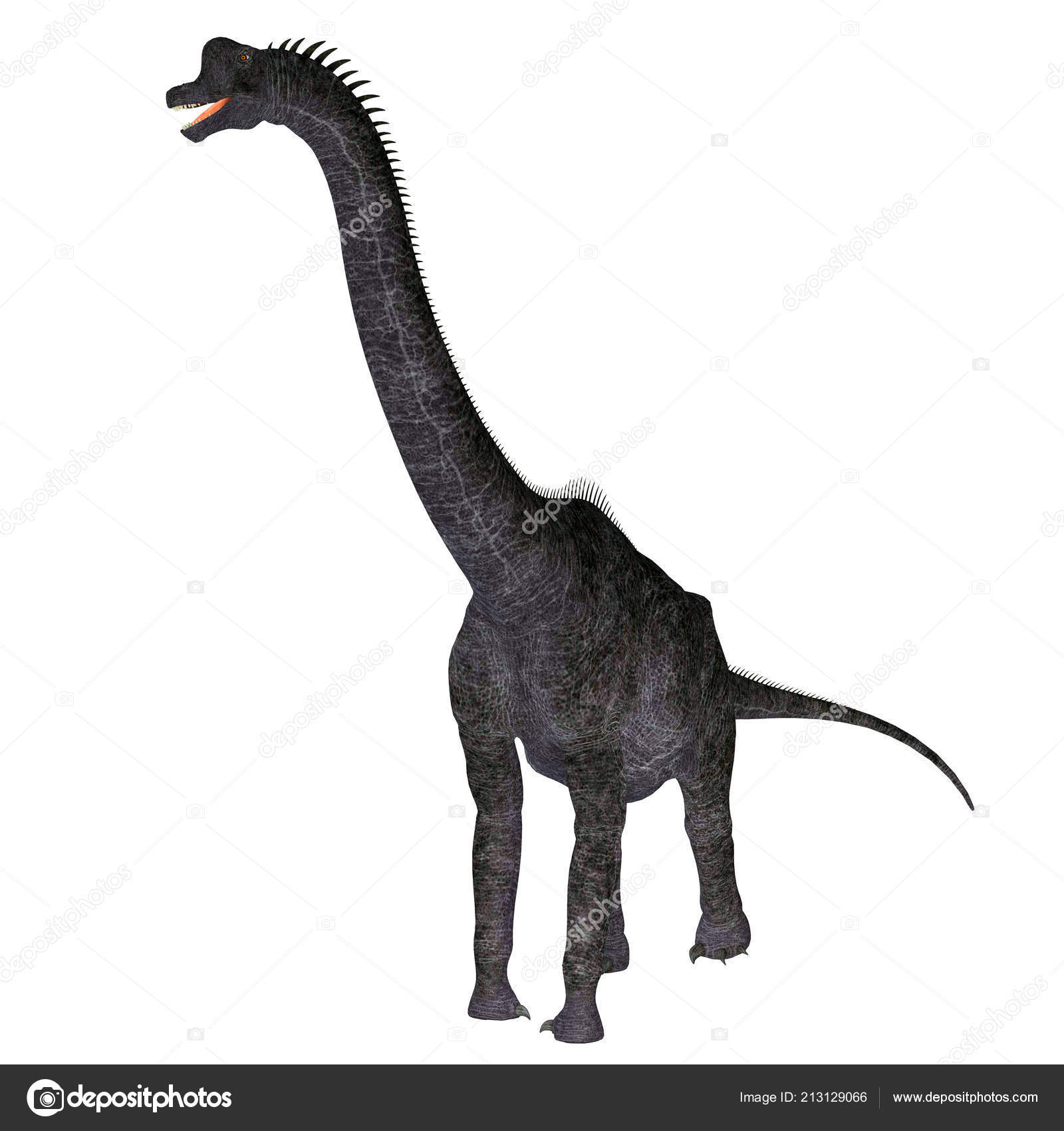 Brachiosaurus Herbivorous Sauropod Dinosaur Lived North America Jurassic Period â Stock Photo