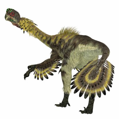 Citipati, Moğolistan'Kretase döneminde yaşamış bir etobur Velociraptor dinozordu.
