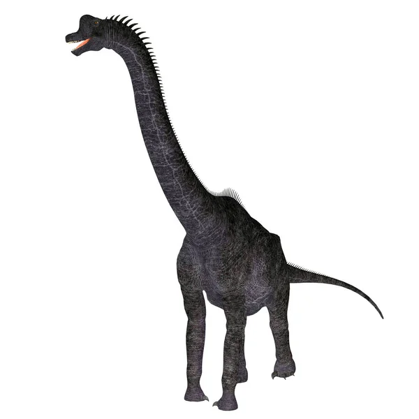 Брахиозавр Травоядным Зауроподным Динозавром Который Жил Северной Америке Время Юрского — стоковое фото